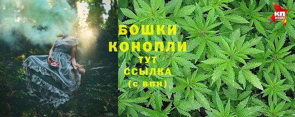 гидра Коряжма