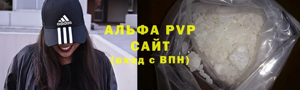гидра Коряжма