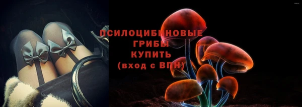 каннабис Корсаков